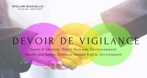 Apolline Boudjellal_Devoir de Vigilance|engagement du CSE - devoir de vigilance|engagement du CSE - devoir de vigilance